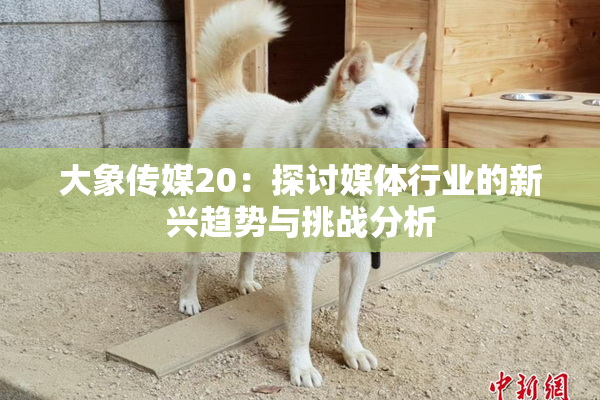 大象传媒20：探讨媒体行业的新兴趋势与挑战分析