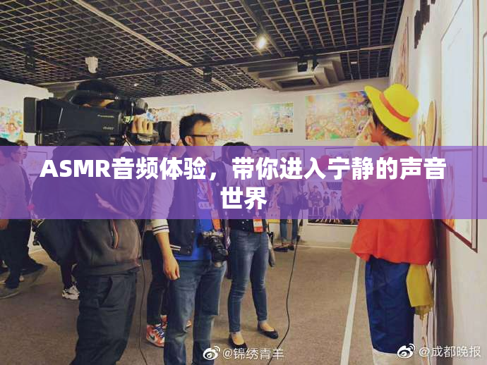 ASMR音频体验，带你进入宁静的声音世界