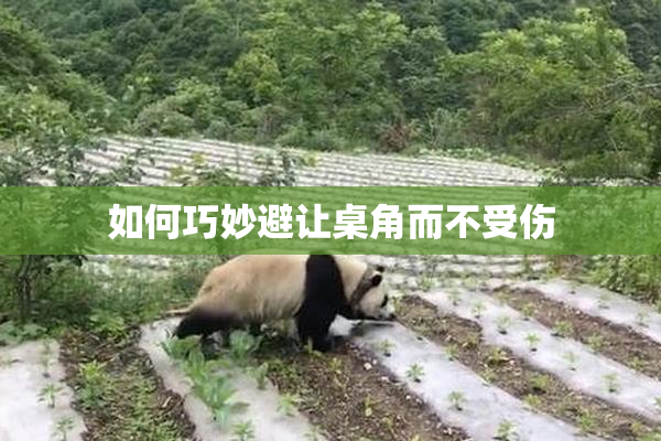 如何巧妙避让桌角而不受伤