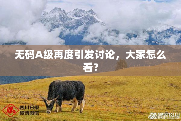 无码A级再度引发讨论，大家怎么看？