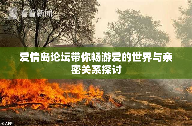 爱情岛论坛带你畅游爱的世界与亲密关系探讨