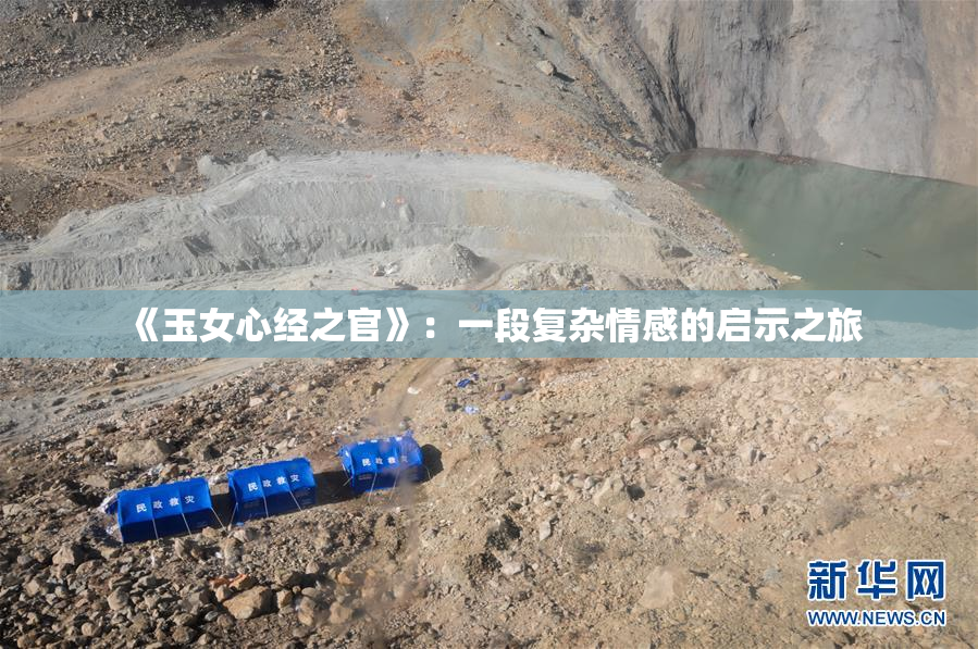 《玉女心经之官》：一段复杂情感的启示之旅
