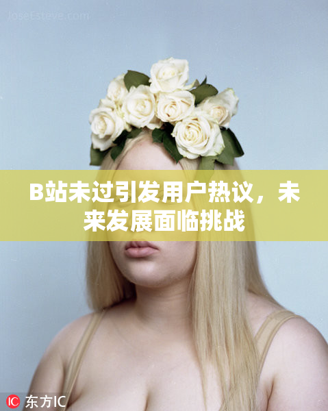 B站未过引发用户热议，未来发展面临挑战