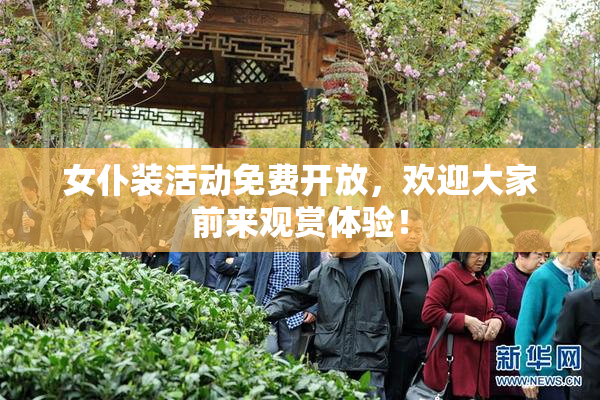 女仆装活动免费开放，欢迎大家前来观赏体验！