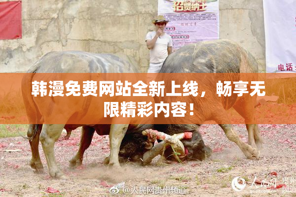 韩漫免费网站全新上线，畅享无限精彩内容！