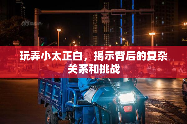 玩弄小太正白，揭示背后的复杂关系和挑战