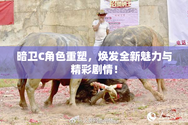 暗卫C角色重塑，焕发全新魅力与精彩剧情！