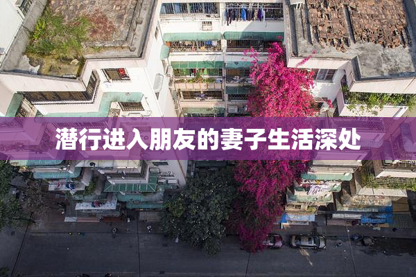 潜行进入朋友的妻子生活深处