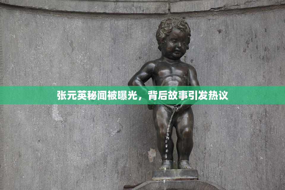 张元英秘闻被曝光，背后故事引发热议