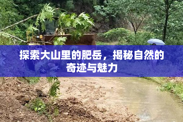 探索大山里的肥岳，揭秘自然的奇迹与魅力