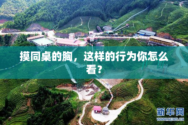 摸同桌的胸，这样的行为你怎么看？