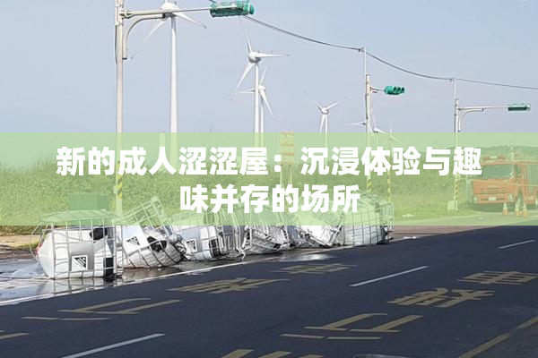 新的成人涩涩屋：沉浸体验与趣味并存的场所