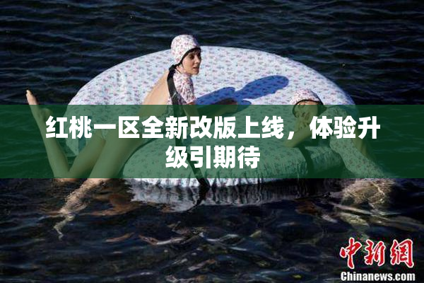 红桃一区全新改版上线，体验升级引期待
