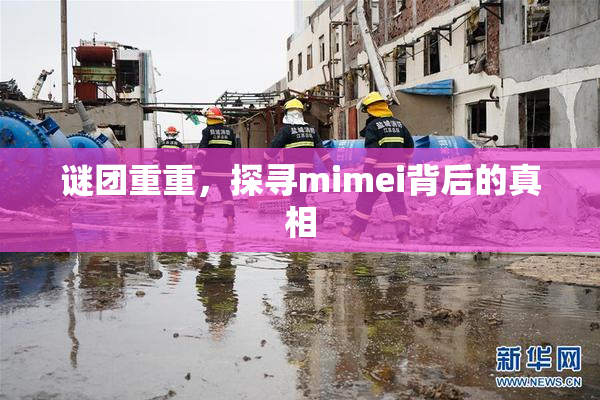 谜团重重，探寻mimei背后的真相