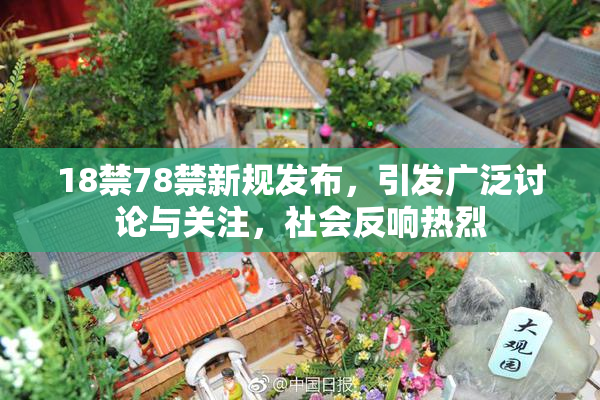 18禁78禁新规发布，引发广泛讨论与关注，社会反响热烈