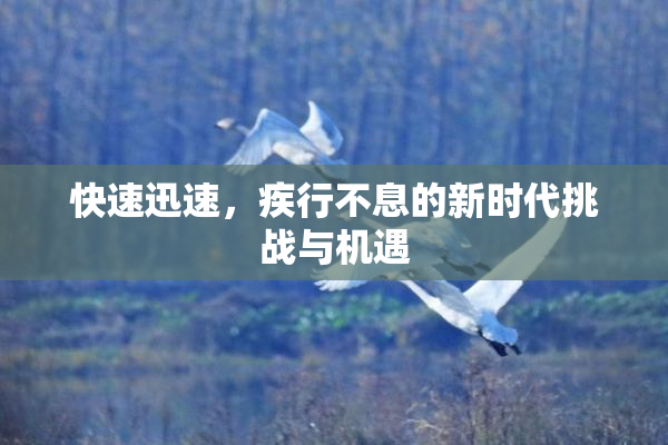 快速迅速，疾行不息的新时代挑战与机遇