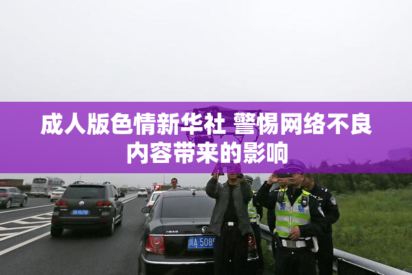 成人版色情新华社 警惕网络不良内容带来的影响