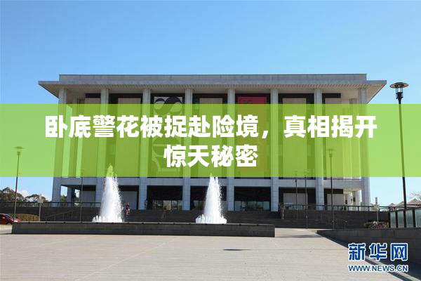 卧底警花被捉赴险境，真相揭开惊天秘密