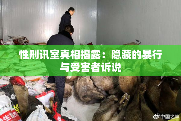 性刑讯室真相揭露：隐藏的暴行与受害者诉说