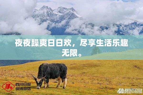 夜夜躁爽日日欢，尽享生活乐趣无限。