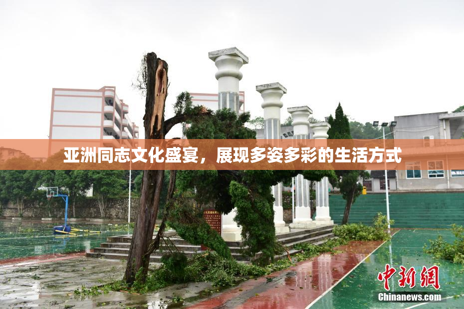 亚洲同志文化盛宴，展现多姿多彩的生活方式