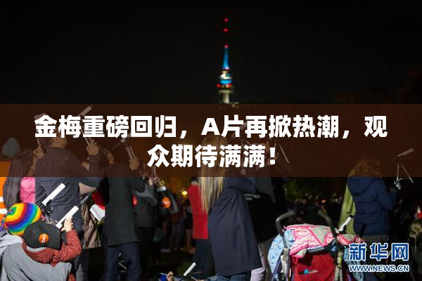 金梅重磅回归，A片再掀热潮，观众期待满满！