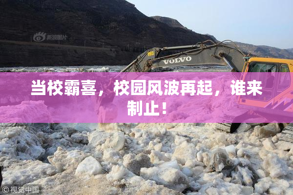 当校霸喜，校园风波再起，谁来制止！