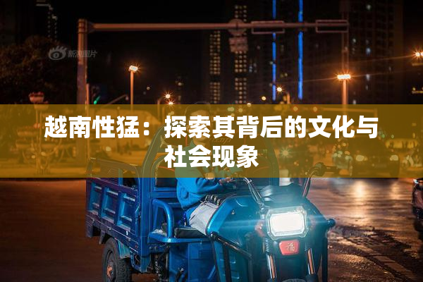 越南性猛：探索其背后的文化与社会现象