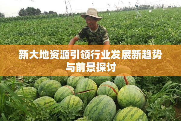 新大地资源引领行业发展新趋势与前景探讨
