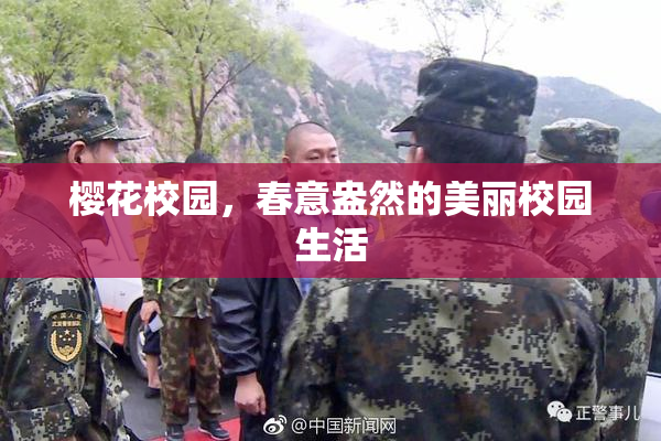 樱花校园，春意盎然的美丽校园生活