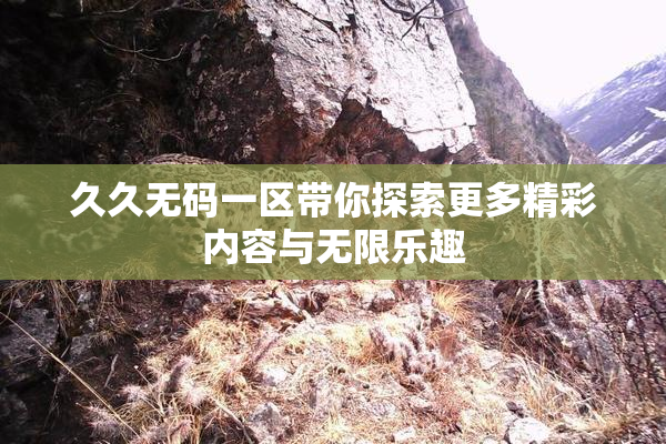 久久无码一区带你探索更多精彩内容与无限乐趣