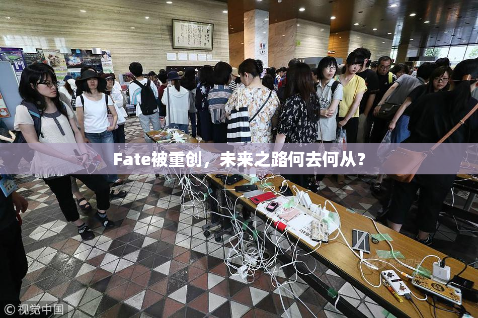 Fate被重创，未来之路何去何从？