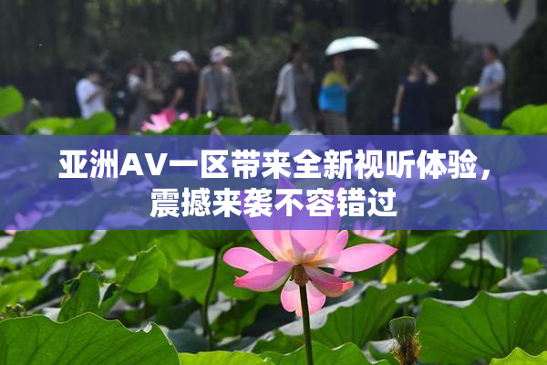亚洲AV一区带来全新视听体验，震撼来袭不容错过