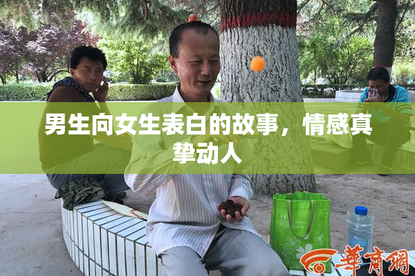 男生向女生表白的故事，情感真挚动人