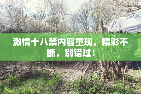 激情十八禁内容重现，精彩不断，别错过！