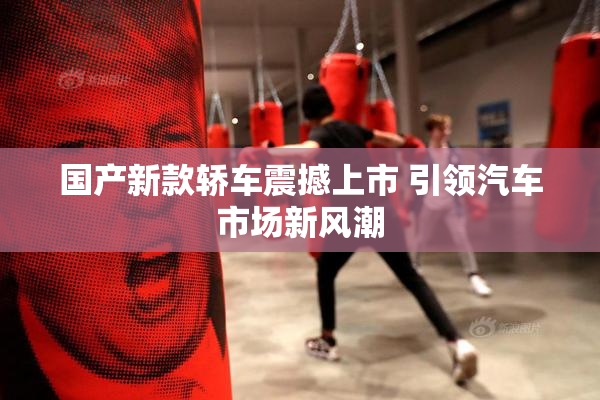 国产新款轿车震撼上市 引领汽车市场新风潮