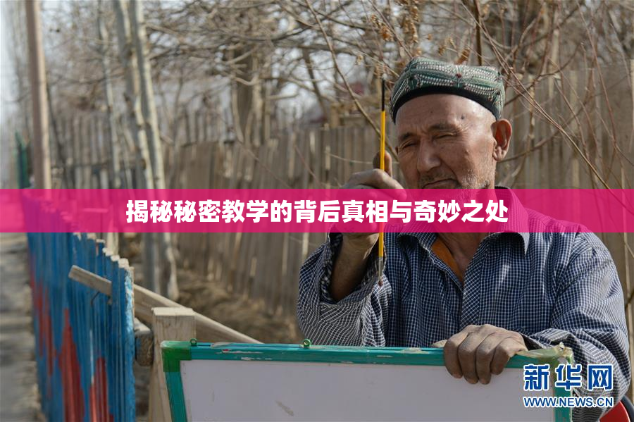 揭秘秘密教学的背后真相与奇妙之处