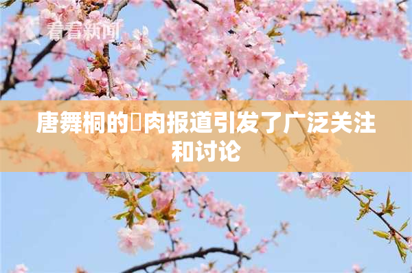 唐舞桐的婬肉报道引发了广泛关注和讨论