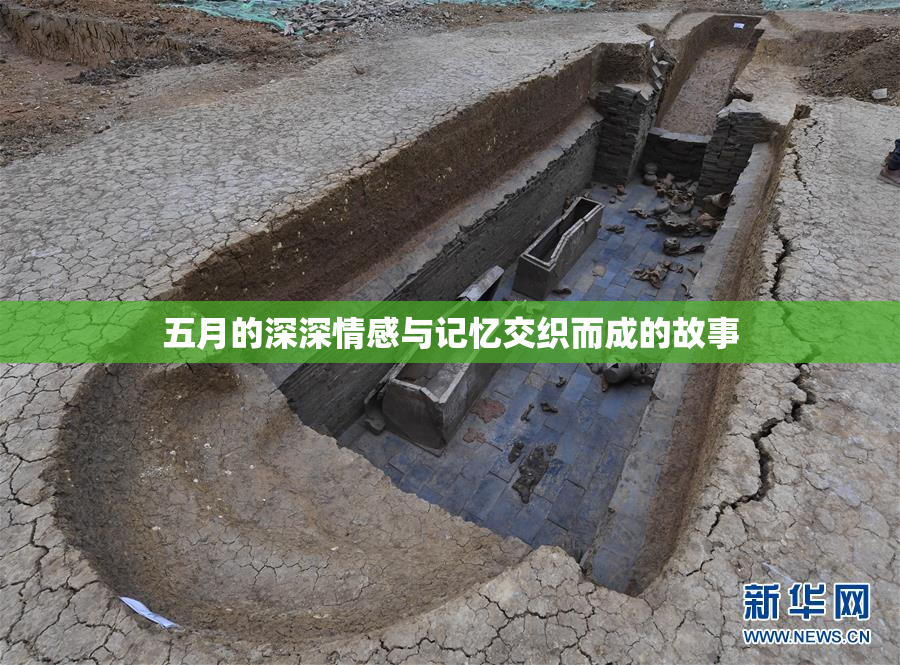 五月的深深情感与记忆交织而成的故事