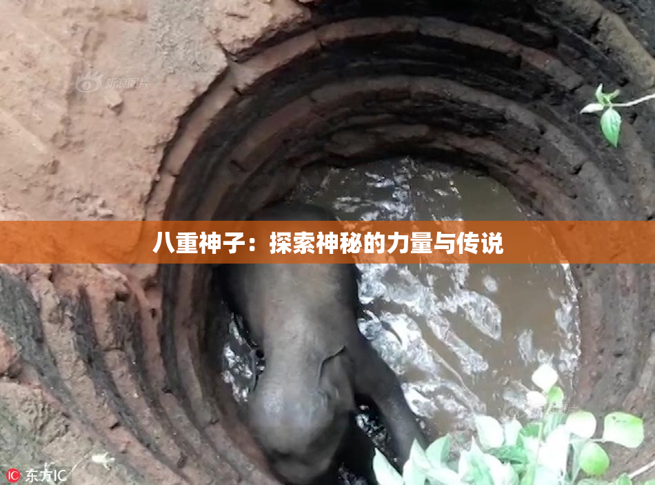 八重神子：探索神秘的力量与传说