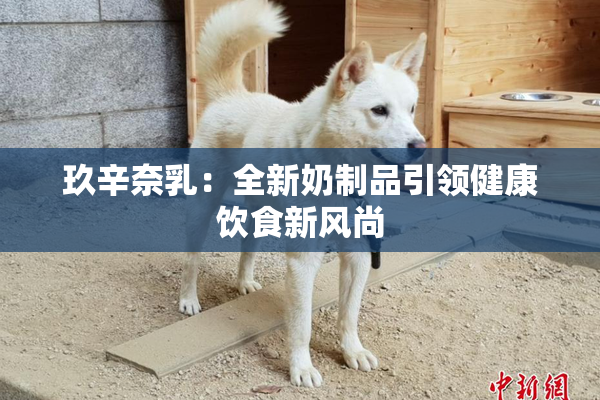 玖辛奈乳：全新奶制品引领健康饮食新风尚