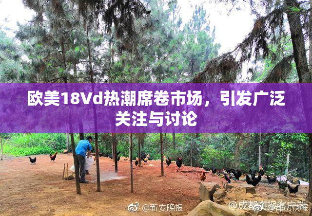 欧美18Vd热潮席卷市场，引发广泛关注与讨论