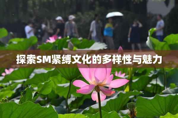 探索SM紧缚文化的多样性与魅力