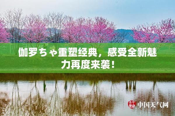 伽罗ちゃ重塑经典，感受全新魅力再度来袭！