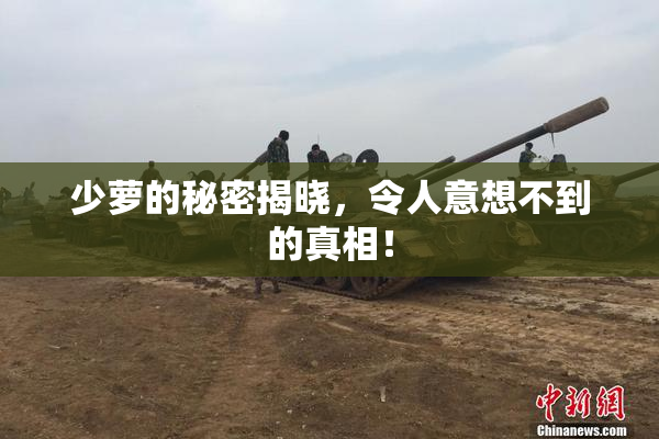 少萝的秘密揭晓，令人意想不到的真相！