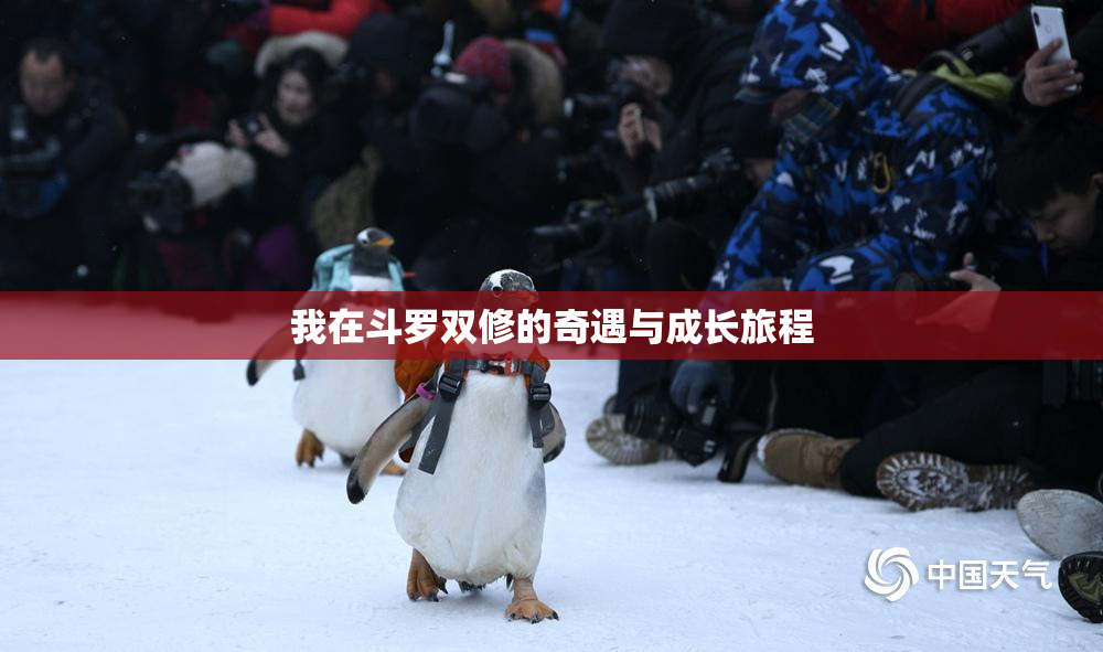 我在斗罗双修的奇遇与成长旅程