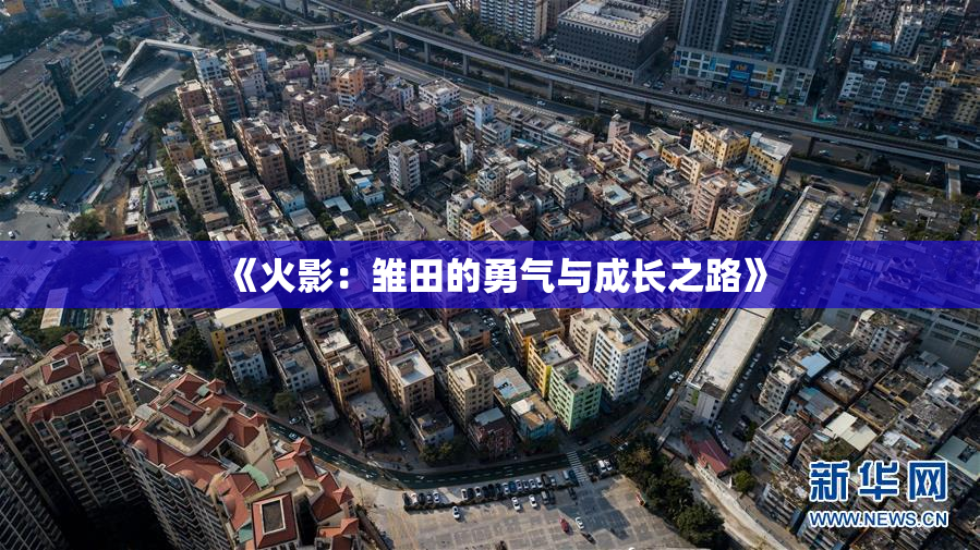 《火影：雏田的勇气与成长之路》