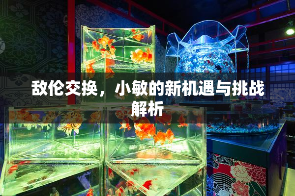 敌伦交换，小敏的新机遇与挑战解析
