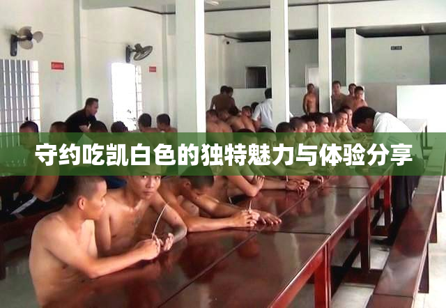 守约吃凯白色的独特魅力与体验分享