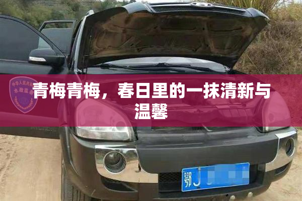青梅青梅，春日里的一抹清新与温馨
